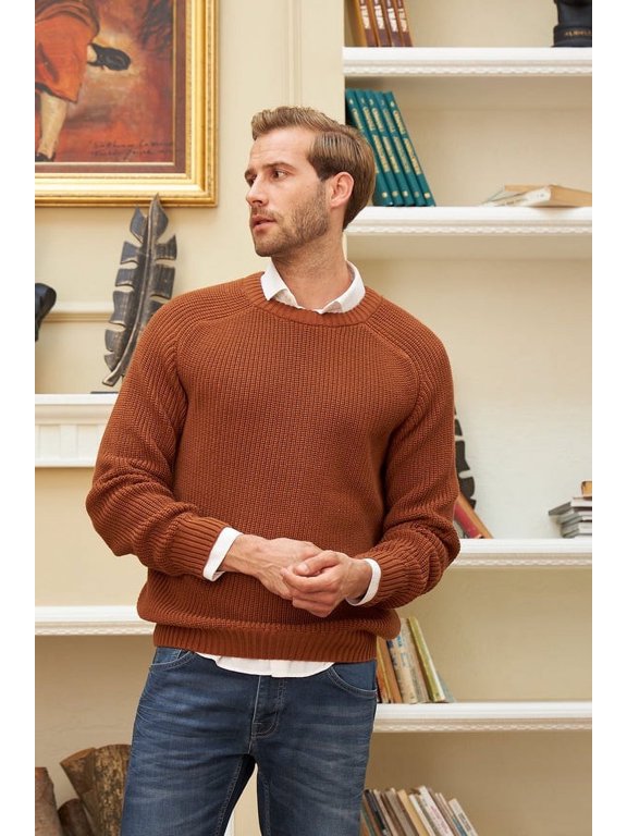 Men's Pullover Sweater, Long Sleeve, Crewneck, for Male, Relaxed Fit, Brown, Small