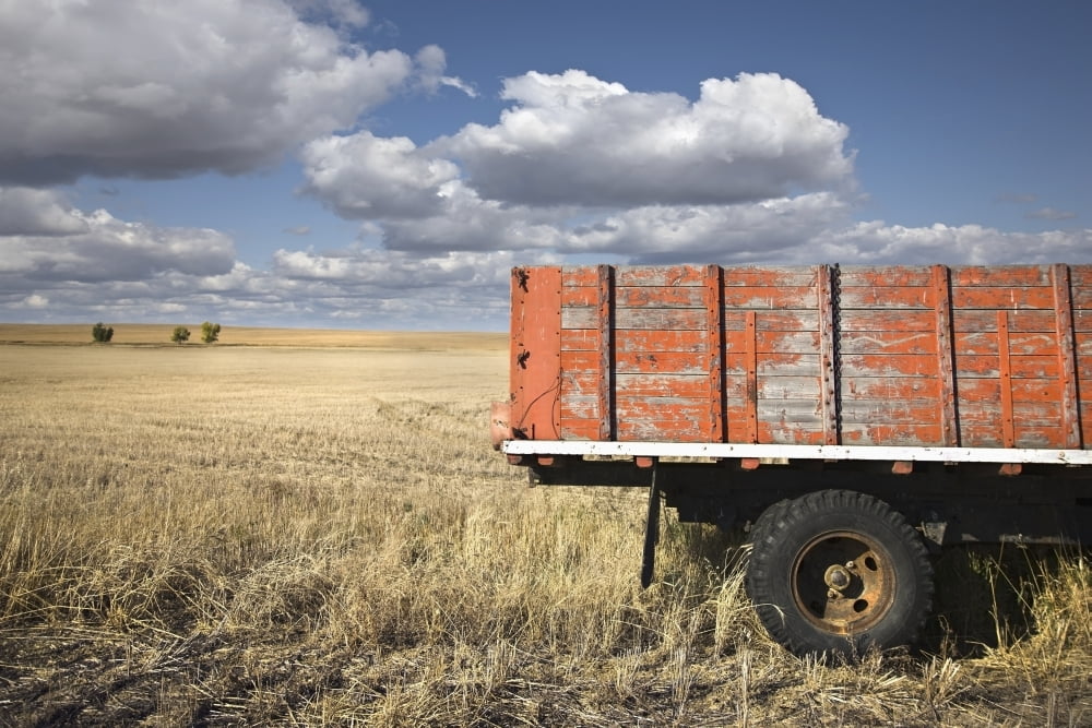 Weather-Beaten Farm Truck In Field Saskatchewan Canada Canvas Art - Benjamin Rondel Design Pics (19 x 12)