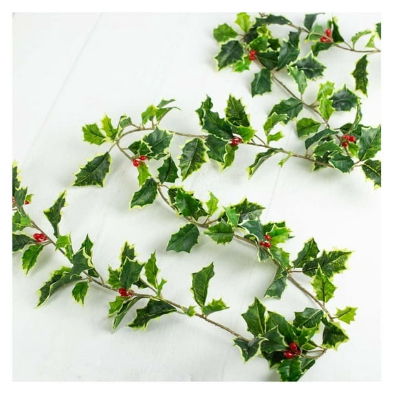 Weather Resistant Real Touch Variegated Holly with Red Berries - Lifelike Artificial Holly for Indoor or Outdoor Christmas Holiday Decoration by Drevy (60" Long)