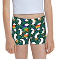 Easygdp Lgbt Penguin Girls Hipster Cotton Underwear Little Girls