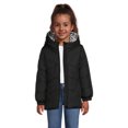 thumbnail image 1 of Weather Tamer Girls Long Sleeve Hooded Winter Puffer Coat, Sizes 4-16, 1 of 6