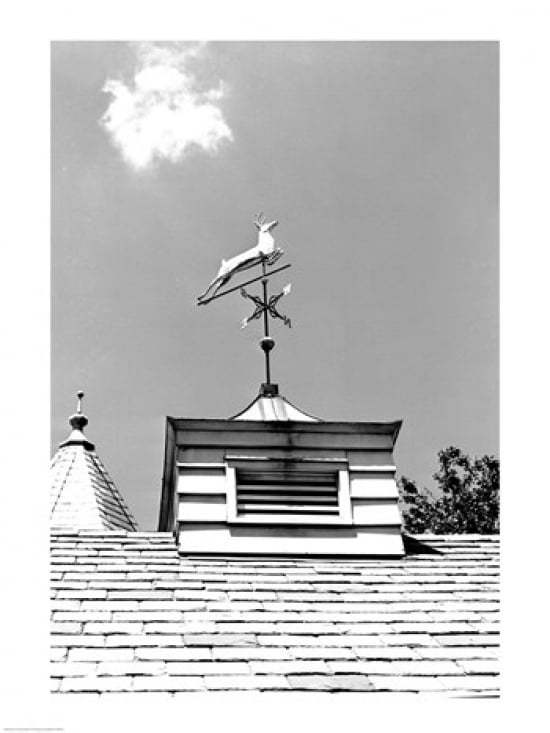 Weather vane of leaping deer Canvas Art - (18 x 24)