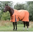 thumbnail image 1 of WeatherBeeta ComFITec Classic Standard Neck Turnout Sheet, 75", 1 of 1