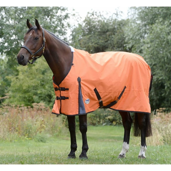 WeatherBeeta ComFITec Classic Standard Neck Turnout Sheet, 75"
