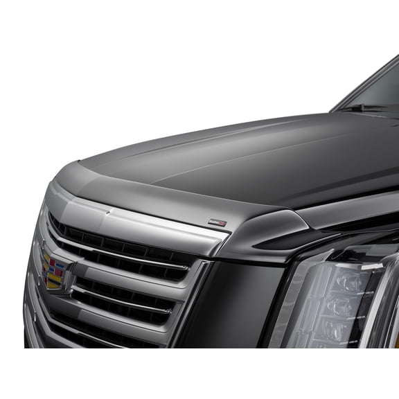 WeatherTech Hood Protector Low-Profile Hood Shield compatible with 1999-2002 Chevrolet Silverado