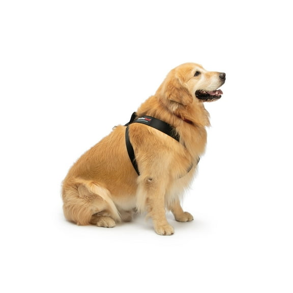 WeatherTech Pet Safety Harness - Keeps Your pet Safe and Secure While on-The-go Size Large