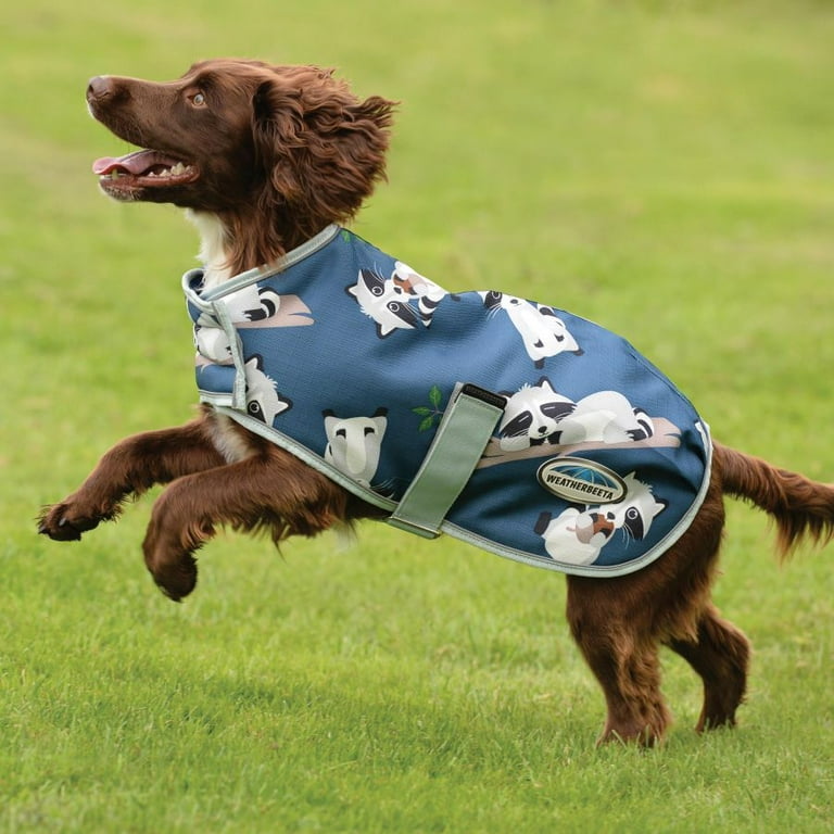 Dog coat medium size sale