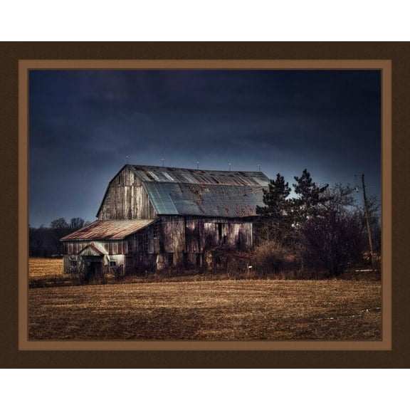 Weathered Barn Panel Cotton Fabric