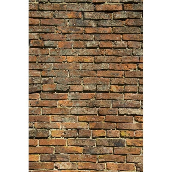 Weathered Brick Wall Poster Print