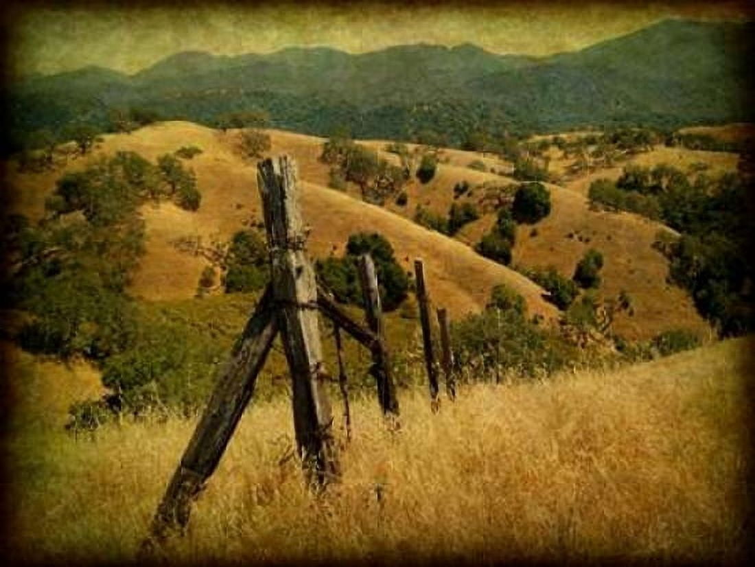 Weathered Ranch Fence Canvas Art - William Guion (18 x 24)