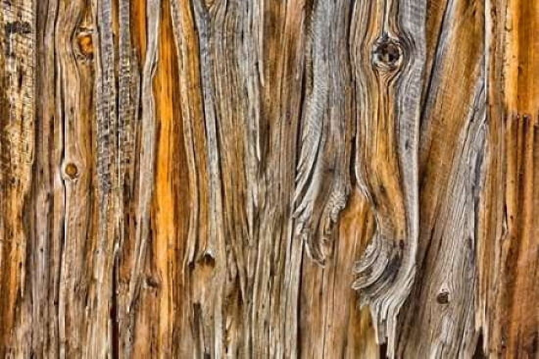 Weathered Wall II Canvas Art - Kathy Mahan (24 x 36)