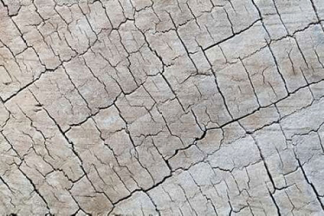 Weathered Wood I Canvas Art - Kathy Mahan (24 x 36)