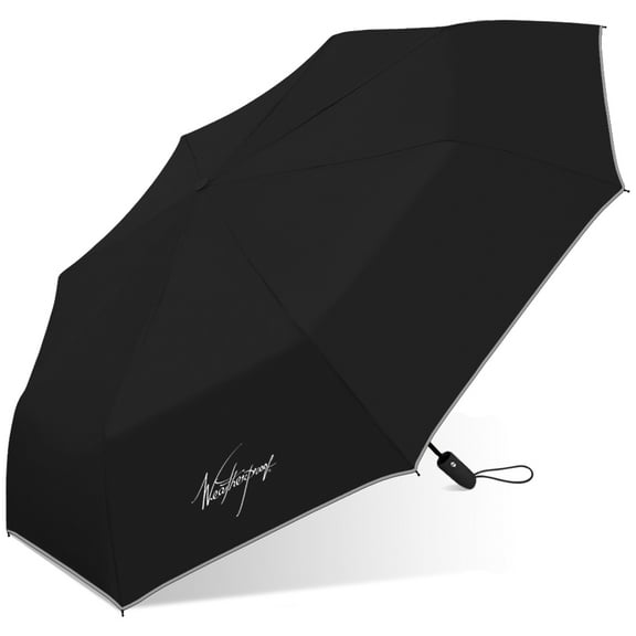 Weatherproof 42in Compact Rain Umbrella, Auto Open/Close, Windproof