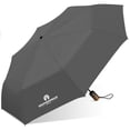 thumbnail image 1 of Weatherproof 54in Deluxe Two Person Rain Umbrella, Auto Open and Close, Windproof, Carabiner, 1 of 3