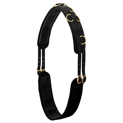 Weaver 10-Ring Neoprene Lined Nylon Surcingle