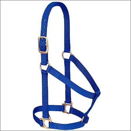 Blue Weaver Western Tack Basic Horse Halter 1" Small Weanling Draft