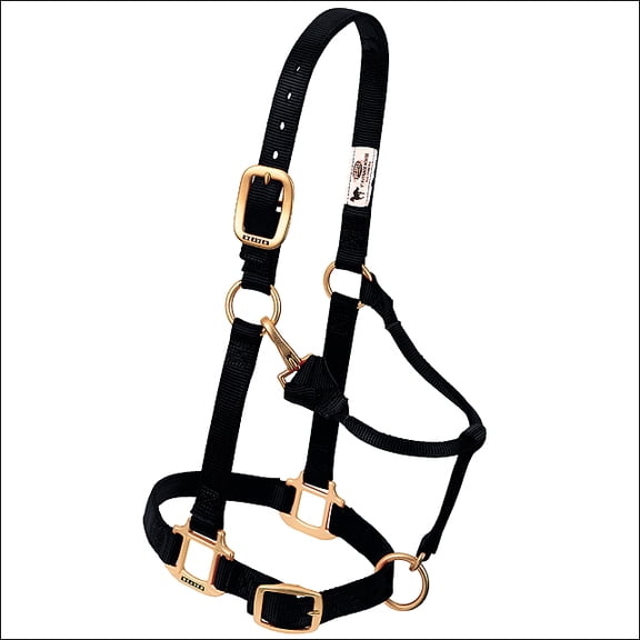 Weaver Leather Original Adjustable Nylon Weanling / Suckling / Arabian Horse Halter 3/4" Black / Arabian