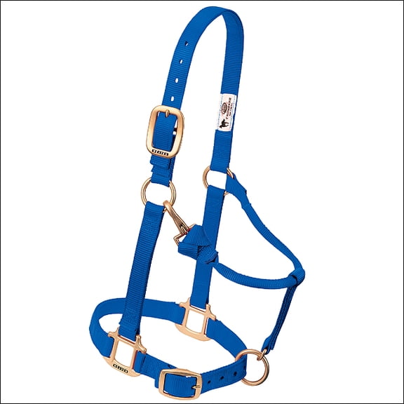 Weaver Leather Original Adjustable Nylon Weanling / Suckling / Arabian Horse Halter 3/4" Blue / Arabian