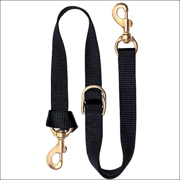 Weaver Deluxe Nylon Tie Down Strap