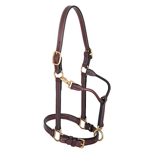 Weaver Double Buckle Leather Halter 1 In Brown