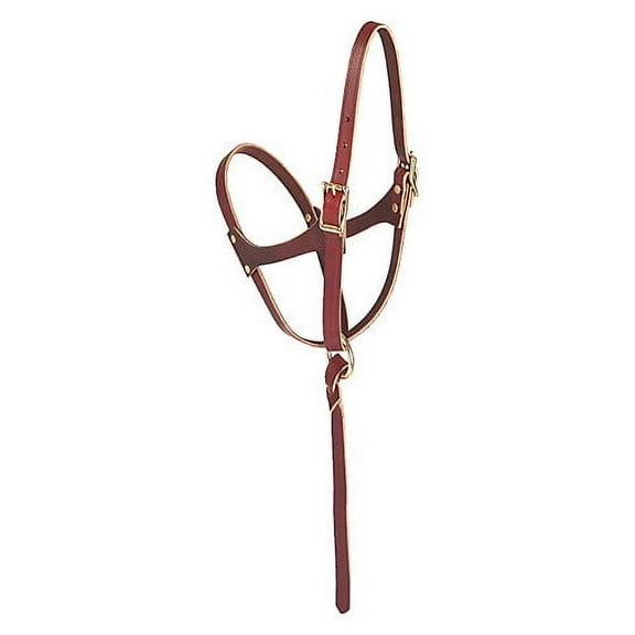 Weaver Leather Figure 8 Foal Halter - Adjustable & Durable