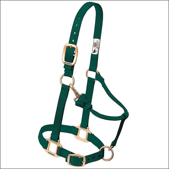 Weaver Leather Horse Halter: Adjustable Nylon for Comfort & Durability Hunter Green / Small Horse