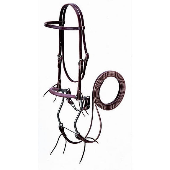 Weaver Latigo Leather Hackamore Bridle: Premium Horse Training
