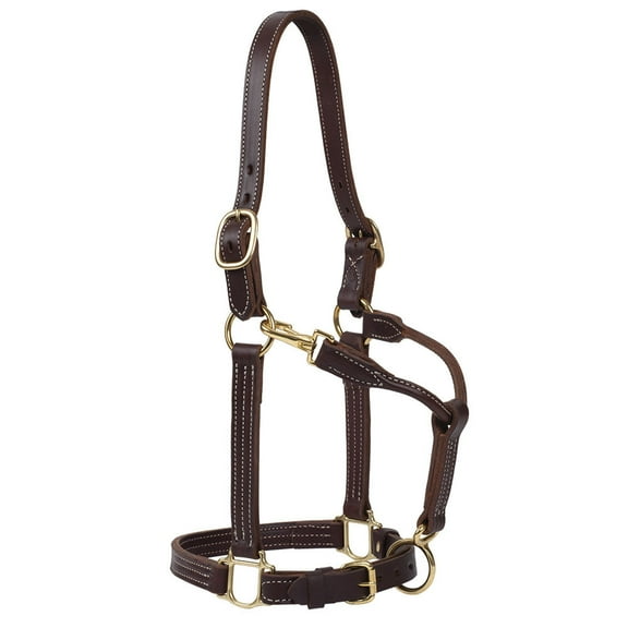 Weaver Leather 1in Oiled Harness Leather Track Halter  HORSE