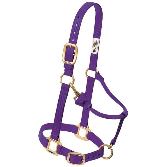 Weaver Leather Adjustable Nylon Halter - Triple-Ply Brass Hardware Purple / Average Horse
