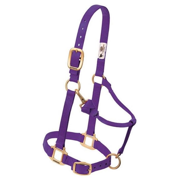 Original Adjustable Chin and Throat Snap Nylon Halter - Average Horse Purple