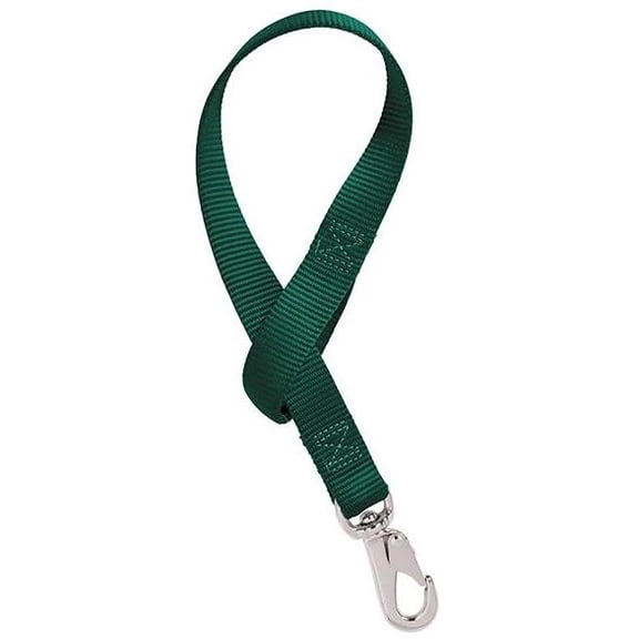 Weaver Nylon Bucket Strap: Simplify Pet Care with Durable Hunter Green Strap