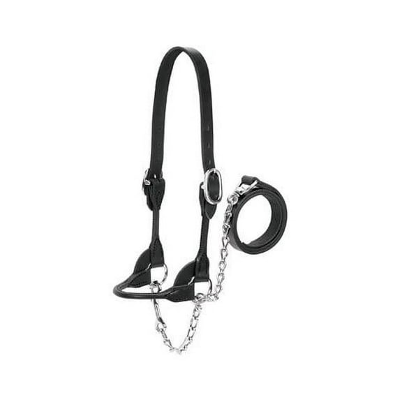 Weaver Leather 80400-50-00 Livestock Show Halter, Black, Medium - Quantity 1