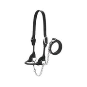 WEAVER LEATHER LLC Cattle Show Halter, Black Bridle Leather, Medium, 20-In. Chain x 36-In. Lead 90-0510