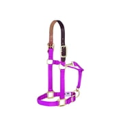 Weaver Leather Adjustable Breakaway Nylon Horse Halter - 1" Width, Large Horse / 2-Year-Old Draft Size Raspberry / Average Horse