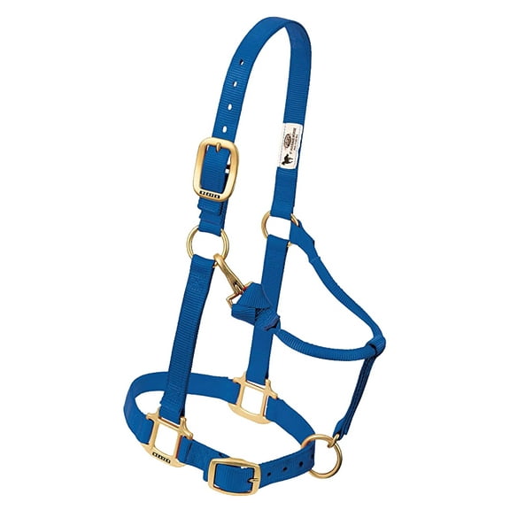 Weaver Leather Adjustable Nylon Yearling Halter, Blue, 14" x 10" x 7