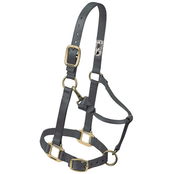 Weaver Leather Horse Halter: Adjustable Nylon for Comfort & Durability Graphite / Average Horse