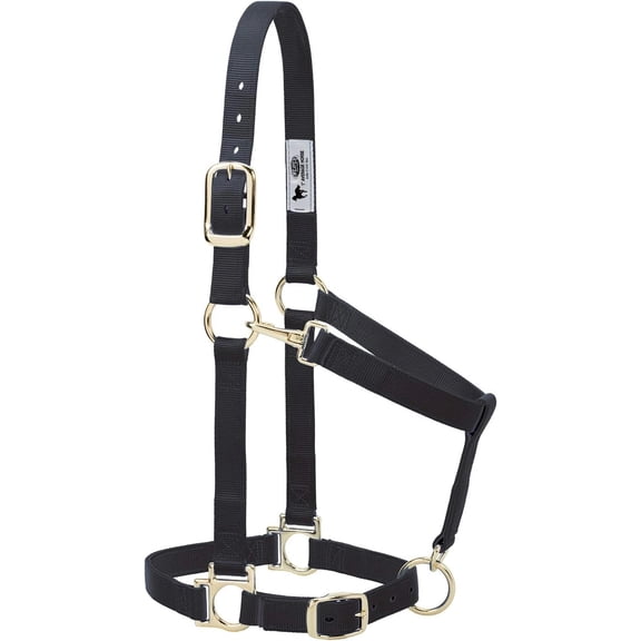 Weaver Leather Padded Nylon Horse Halter - Adjustable Large Comfort Halter with Snap Closures