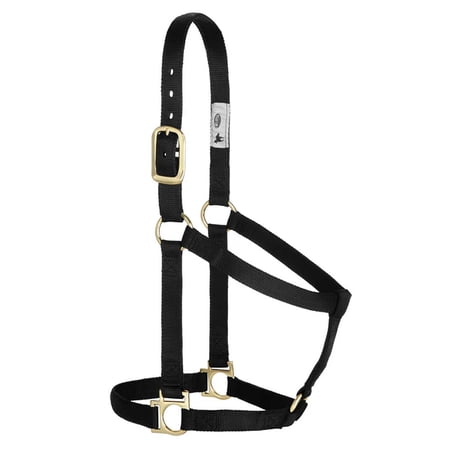 Weaver Leather Basic Non-Adjustable Halter, Black, Average Horse Size