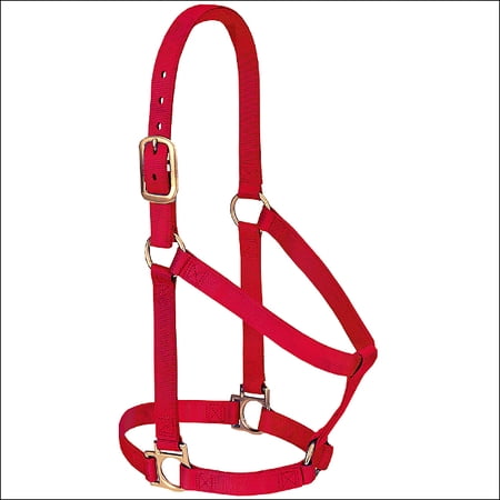 Large 3-Ply Nylon Halter