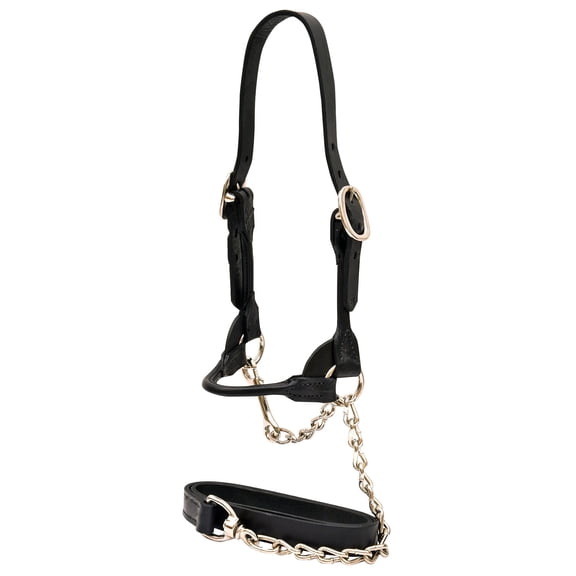 WEAVER LEATHER LLC Cattle Show Halter, Black Bridle Leather, Large, 20-In. Chain x 36-In. Lead 90-0520