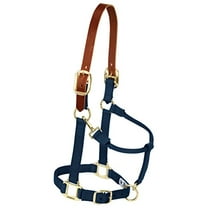 Weaver Leather Nylon Adjustable Breakaway Horse Halter, Average, Navy