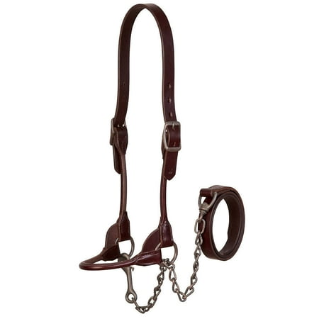 Weaver Leather Brown Bombshell Show Halter L LARGE