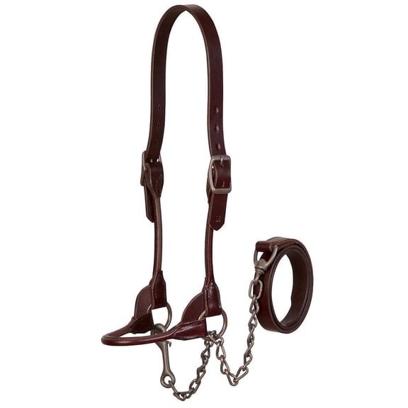 Weaver Leather Brown Bombshell Show Halter L  LARGE