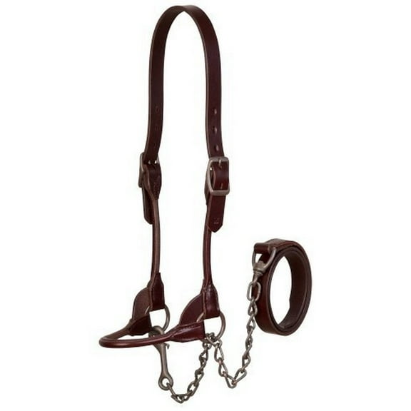 Weaver Leather Brown Bombshell Show Halter S  SMALL