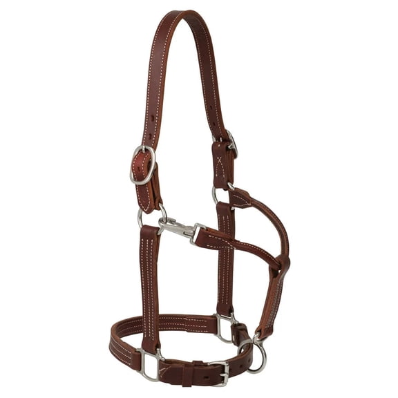 Weaver Leather Canyon Rose Ranch Halter - 1" Oiled Harness Leather