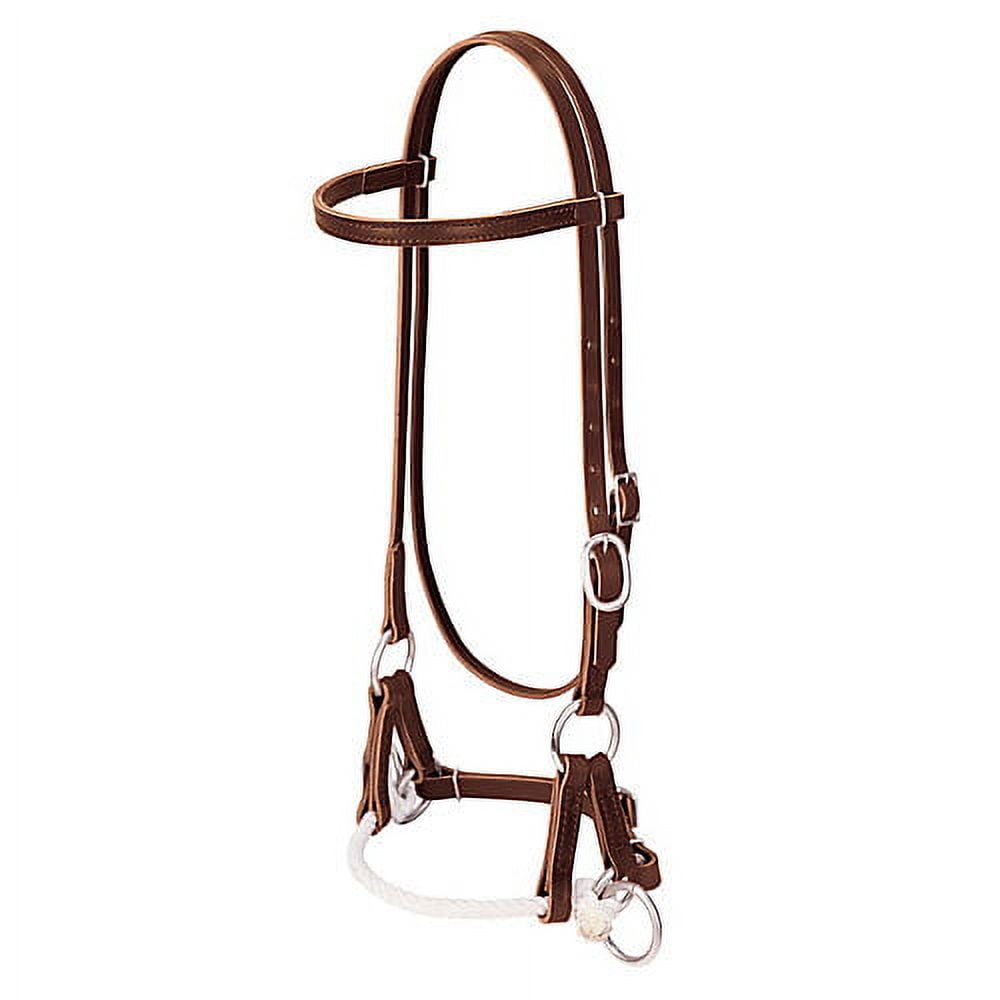 Buffalo Leather Latigo Leather Side Pull with a Rawhide Noseband