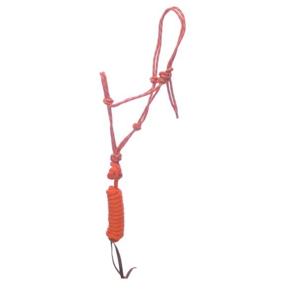Weaver Leather Diamond Braid Rope Halter and Lead