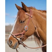 Weaver Justin Dunn Bitless Harness Leather Oak Russet Horse Bridle Headstall