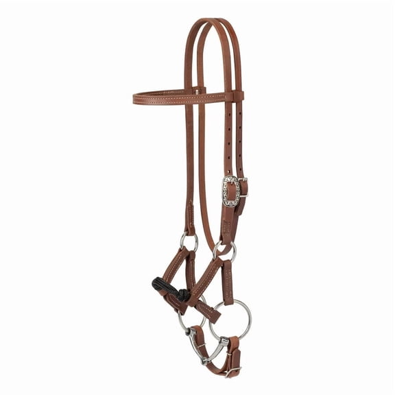 Weaver Leather Kalley Horseman's Bridle | Sidepull to Bit Transition