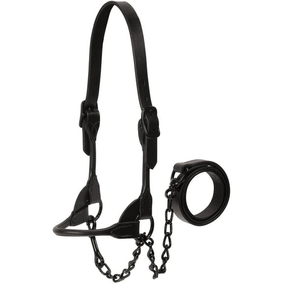 Weaver Leather Livestock Black Magic Show Halter, Small